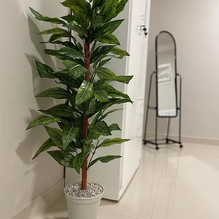 استديو جميل 1 Apartment Riyadh Exterior photo