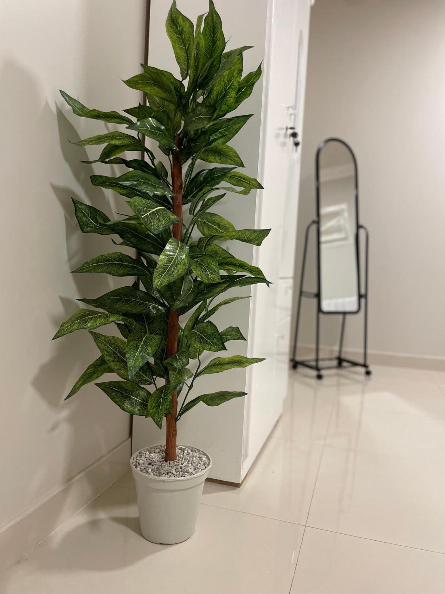 استديو جميل 1 Apartment
