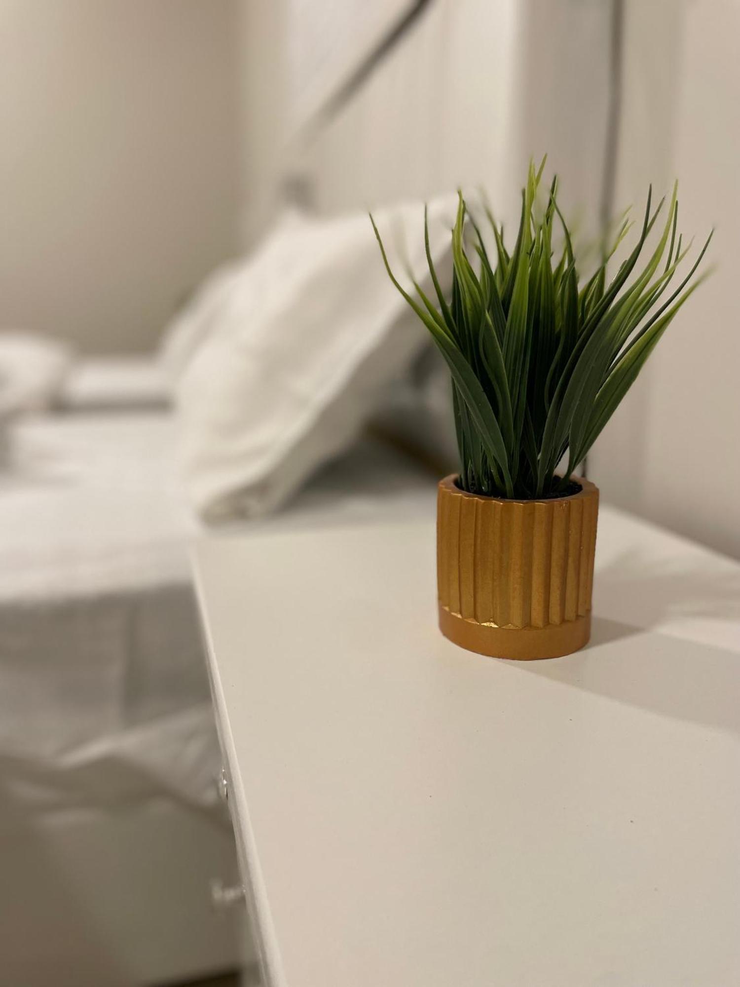 استديو جميل 1 Apartment *